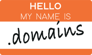 Hello my name is domains sticker